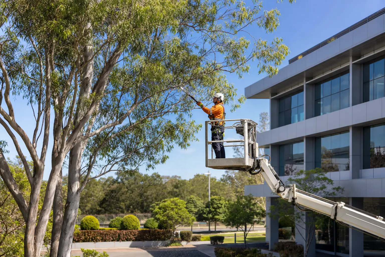 Qualified arborist undertaking elevated tree maintenance beside a commercial property